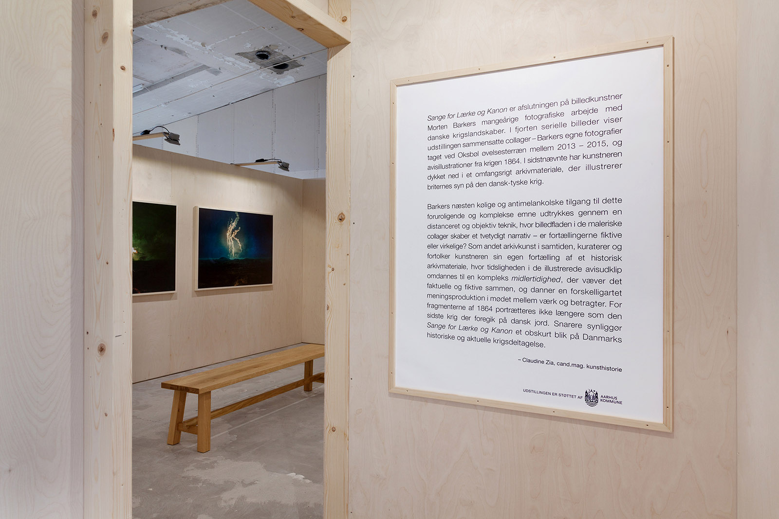 Caption for Image 2